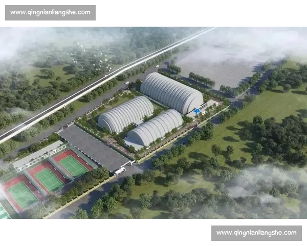 体育管理制度创新与现代化建设的实践与发展研究 体育管理制度创新与现代化建设的实践与发展研究