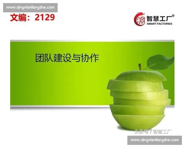 体育团队建设策略与成员协作能力提升研究探索 体育团队建设策略与成员协作能力提升研究探索